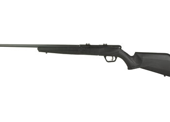 SAV B22 MAG F 22WMR 21" 10RD BLK