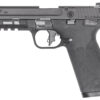 SW M&P 22X 22LR 4.1 BLK TS 10RD 1 SW2014313