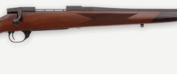 WBY VANGUARD 257WBY 24 SPORTER MATTE #2 A GRADE