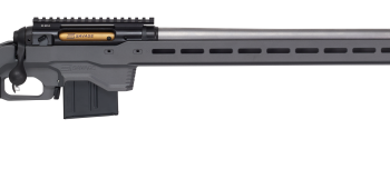 SAVAGE ARMS 110 ELITE PRECISION 308WIN