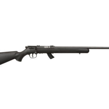 SAVAGE ARMS MARK II BOLT 17HM2 BL/SY 10+1