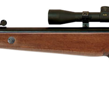 Beeman 1051 Teton Combo Spring Piston 177 Pellet Black Rec/Barrel Hardwood Stock Includes 4x32mm Scope