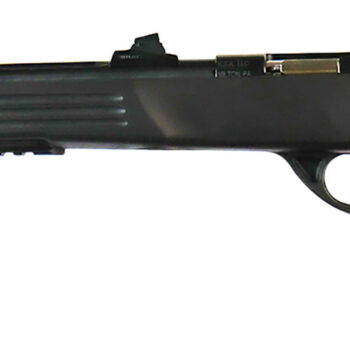 Crickett KSA693 Adult Pistol  22 LR 1rd 10.50" Blued Threaded Barrel w/Cap, Williams Fire Sights, Integrated Picatinny Accessory Rail, Synthetic Grip, Rebounding Firing Pin Safety