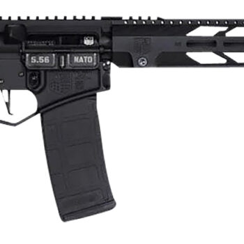 Diamondback DB1758K001 DB15  5.56x45mm NATO 16" 30+1 Black Adjustable Magpul ACS-L Stock Black Magpul MOE-K2+ Grip