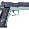 GSG GERG2210FFM FireFly 22 LR 10+1 4" Black Serrated Slide, Mint Zinc Alloy w/Accessory Rail Frame, Black Polymer Grip 1 141679