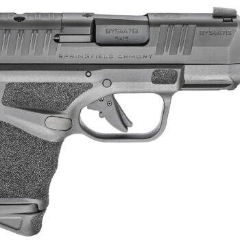 Springfield Armory HC9389BTOSP Hellcat Micro-Compact RDP 9mm Luger 13+1/11+1 3.80" Threaded/Compensated Barrel, Black Polymer Frame w/Picatinny Acc. Rail & Adaptive Grip Texture, Optic Ready Slide