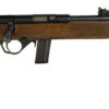 Rossi RB22L1811WD RB22 Full Size 22 LR 10+1 18" Matte Black Steel Barrel, Dovetail Base Steel Receiver, Hardwood Monte Carlo Stock 2 157581
