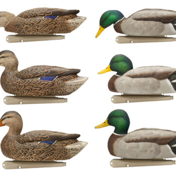 Avian X AVXAVX8076 Topflight Fusion Mallards Multi-Color -6 Pack