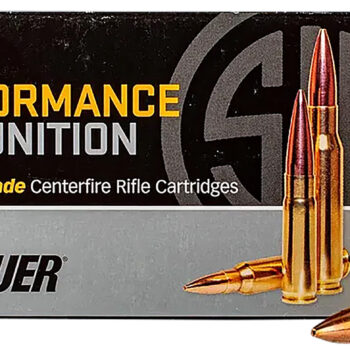 Sig Sauer T300BLK110TTX2 TAC-TX  300Blackout 110gr 20 Per Box/10 Case