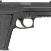 Sig Sauer Airguns AIRP229RX177BLK P229 Blowback Air Pistol CO2 177 16rd 1 169048