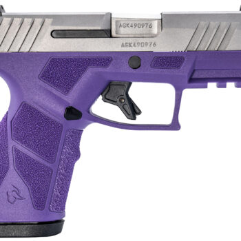 Taurus 1-GX2939DP-10 GX2  9mm Luger 10+1 3.37" Matte Stainless Steel Barrel, Matte Serrated Stainless Steel Slide, Dark Purple Polymer Frame w/Picatinny Rail, Polymer Grip