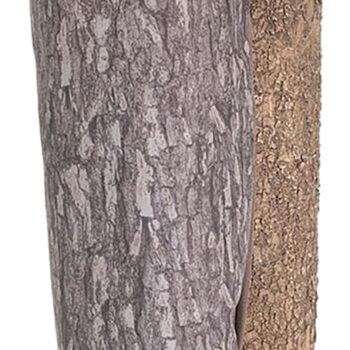 Moultrie MFG-15019  Bag Feeder 100lbs Capacity Camo