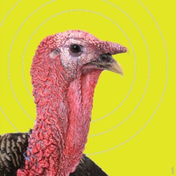 Allen 15267 EZ Aim Splash Reactive Target Turkey Hanging Paper Universal 12"x18" Multi-Color 6Pack