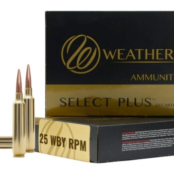 WTHBY B25RPM117LRX 25WBY RPM 117G BARNES LRX 20/10