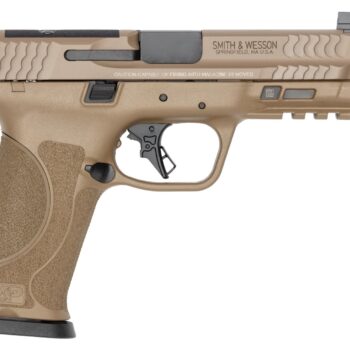 Smith & Wesson 14832 M&P9 M2.0 Sports South Exclusive 9mm Luger 23+1 4.72" Black Armornite Threaded Barrel, Flat Dark Earth Cerakote Stainless Steel Optic Ready/Serrated Slide, Flat Dark Earth Polymer