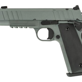 Tisas Arms 10100135 1911 Night Stalker Carry 45 ACP 8+1 4.25" Black Bull Barrel, Gray Cerakote Carbon Steel Serrated Slide, Gray Cerakote Carbon Steel Frame w/Beavertail & Picatinny Rail, Black Rubber