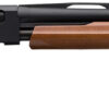 Winchester Repeating Arms 512266391 SXP Field 12 Gauge 26" 4+1 3" Matte Blued Rec/Barrel Satin Walnut Stock Right Hand (Full Size) Includes 3 Invector-Plus Chokes 2 85233 2