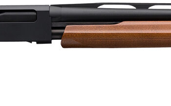 Winchester Repeating Arms 512266391 SXP Field 12 Gauge 26" 4+1 3" Matte Blued Rec/Barrel Satin Walnut Stock Right Hand (Full Size) Includes 3 Invector-Plus Chokes