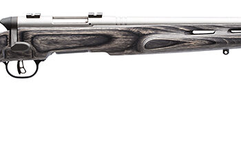 Savage Arms 96972 B.MAG Target Full Size 17 WSM 8+1 22" Matte Stainless Heavy Barrel, Matte Drilled & Tapped Stainless Steel Receiver, Matte Gray Thumbhole Laminate Stock, Right Hand