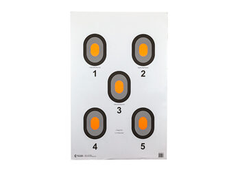 ACTION TGT ORG CENTER 5 BLSEYE 100PK