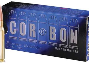 CORBON PM 308WIN 185GR SUBSONIC 20/