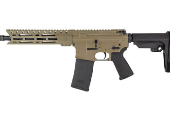 DBF DB15 300BLK 10" 30RD FDE BRACE