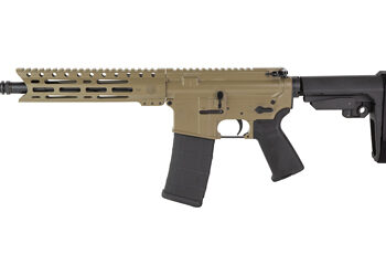 DBF DB15 556 10" MLOK 30RD FDE BRACE