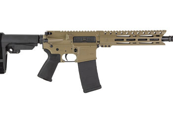 Alternative view of DBF DB15 556 10" MLOK 30RD FDE BRACE