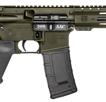 DBF DB15 300BLK 10 ODG SBA3 PSB MLOK 9 30RD