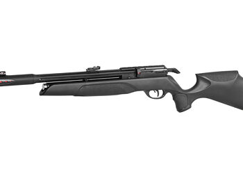 GAMO ARROW PCP .22 CAL PEL