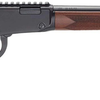 HENRY H1 BANDIT 22LR 18.5
