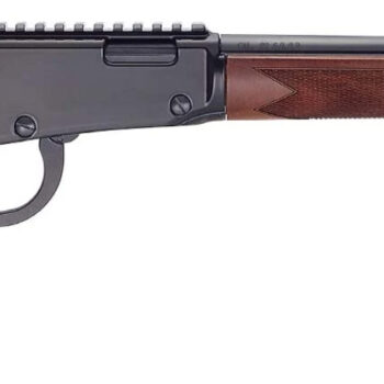 HENRY H1 SPORTER 22MAG 18.5 12RD