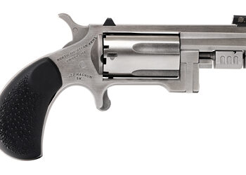 Alternative view of NAA SENTINEL 22WMR 1.625" STS