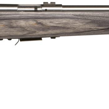 SAV 93R17 BVSS 17HMR 21 HVY SS GRAY LAMINATE 5RD