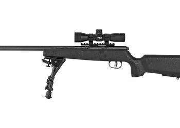 SAV RASCAL TRGT XP 22LR 16.125" BLK