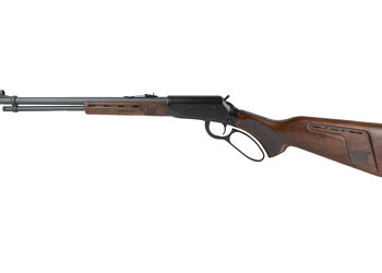 SAV REVEL DLX 22WMR 18" 9RD BLK