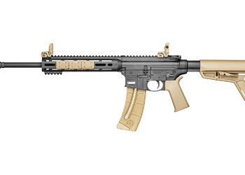 S&W M&P15-22 22LR 16" 25RD FDE THRD