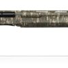 gpsxlbottomlandgpsxlcbtl11920x403acac