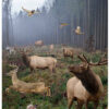 Action Target GSBIGHUNT100 Entertainment Animals Paper Hanging 23" x 35" 100 Per Box 1 116082