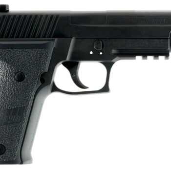 Sig Sauer Airguns AIR226F P226 Air Pistol CO2 177 16+1 Black Polymer Grips