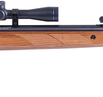 Blue Line Solutions 25003205 Diana Two-Fifty 5.5mm .22 Cal 24 Joule w/Gas Spring Set