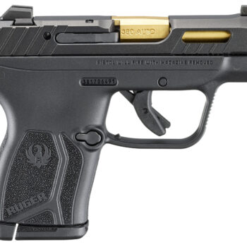 Ruger 13766 LCP Max Compact Frame 380 ACP 10+1 2.80" Black Nitride Barrel, Black Nitride Alloy Steel Serrated Slide, Black Polymer Frame Textured Grip