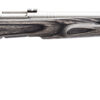 Savage Arms 96972 B.MAG Target Full Size 17 WSM 8+1 22" Matte Stainless Heavy Barrel, Matte Drilled & Tapped Stainless Steel Receiver, Matte Gray Thumbhole Laminate Stock, Right Hand 2 97940