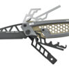 AVIDAVGTAMP AR 1