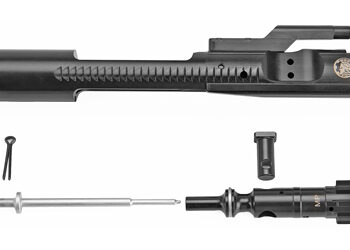 BAD BCG M16 3