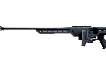ATA ALR RIFLE 308 WIN BLK 10RD 22"