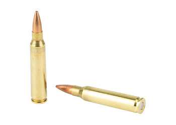 F223SBRD 4