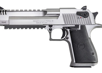 DE MK19 50AE 6" 7RD STS W/RAIL MB