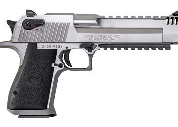 Alternative view of DE MK19 50AE 6" 7RD STS W/RAIL MB