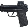 P365AXGLUXERXSL